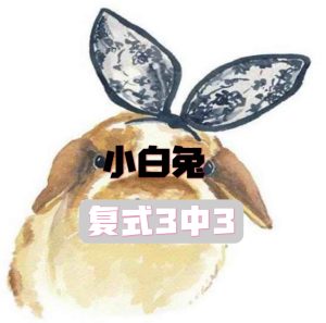 195期小白兔复式三中三-澳门国际